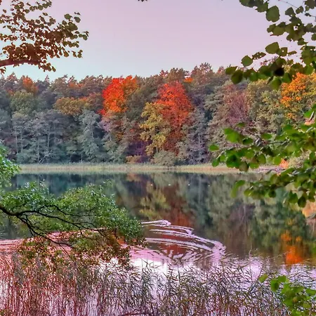 Bansin Seebad * Gothen